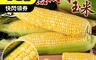 禾鴻 6.6折! - 正宗北海道巨無霸雙色水果玉米 爆汁激甜 5斤~20斤/箱