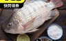上野物產 4.7折! - 嚴選台灣鯛魚 (200-250g土10%-隻 )