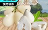 生活市集 6.1折! - 屏東枋寮白玉蓮霧 白蓮霧 3斤 大果13~18顆/盒 中果19~23顆/盒