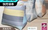 生活市集 6.8折! - MIT天絲材質三角充棉抬腿枕(大) 拉鍊式可拆洗 3M吸濕排汗技術