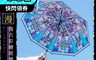 生活市集 6.1折! - 大正浪漫彩繪玻璃直傘90cm 透明長柄傘(僅自動開傘)/八骨防風/防水材質