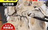 生活市集 4.1折! - 日本肥嫩巨無霸牡蠣 產地直送 新鮮海味 鮮度爆表 (250g/10顆/包)
