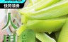 生活市集 5.6折! - 夏日盛品 手作清爽頂級芒果青 700克 情人果冰 冰品