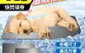 生活市集 3.6折! - 寵物涼感降溫散熱鋁板 貓咪 狗狗 散熱 小號 中號 大號 特大號
