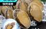 鮮綠生活 5.5折! - 巨大東山鮑魚 550G/8顆/包