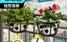 生活市集 6.6折! - 北歐風格護欄吊掛式花架LS-020 護欄花架/陽台花架/園藝花架/鐵藝花架