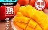 枋山盧家 2.7折! - 輸日寶島級-愛文芒果禮盒(5kg/盒)