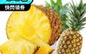 果之蔬 5.0折! - 台灣栽選金鑽鳳梨 1kg±10%/支