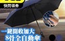 逛逛市集 4.3折! - 加大8骨一鍵開收全自動傘 自動摺疊傘 加大傘面 雨傘 8骨自動傘