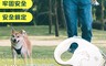 生活市集 7.5折! - 小米有品 佐敦朱迪寵物伸縮牽引繩 5m 伸縮狗鏈 寵物牽繩