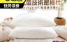 RobertaColum諾貝達卡文 6.3折! - 日本大和防螨抗菌壓縮枕頭