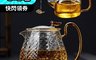 生活市集 5.2折! - 熱銷 耐高溫耐冰冷辦公室 居家 沖茶 泡茶花茶玻璃壺