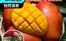 果之蔬 7.2折! - 屏東愛文芒果(10斤)