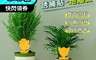 生活市集 4.5折! - FaSoLa 蚊蟲、蒼蠅剋星誘捕貼 造型款 (有附地插)