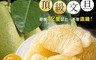 家購網嚴選 6.7折! - 斗六牛挑灣頂級文旦/特級文旦5斤禮盒