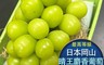 RealShop 真食材本舖 7.1折! - 高級日本岡山晴王麝香葡萄禮盒約550-600g