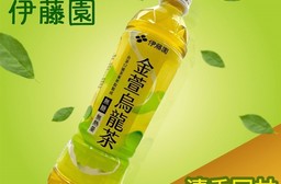 【伊藤園】金萱烏龍茶535ML 茶飲 即飲茶 無糖