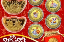 兔年開運招財金幣元寶紅包袋