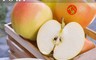 阿成水果 6.7折! - 日本青森香甜TOKI大顆級水蜜桃蘋果8顆禮盒