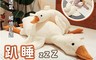 生活市集 6.1折! - (聖誕交換禮物)創意仿真大白鵝動物抱枕