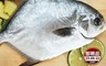 生活市集 7.0折! - (即期品)產銷履歷海金鯧550g±50g/包