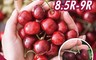水果達人 7.3折! - 智利鮮甜8.5R-9R櫻桃