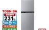 TOSHIBA東芝 7.9折! - 231公升一級能效雙門變頻電冰箱GR-A28TS(S)