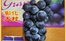 歐吉商 10.0折! - 彰化大村安心巨峰葡萄 4台斤/盒