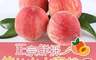 享吃鮮果 7.3折! - 正宗鮮採拉拉山水蜜桃(10入裝)