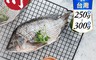 小川漁屋 10.0折! - 精選台灣鯛魚 (250~300g/尾)