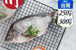 【小川漁屋】精選台灣鯛魚 (250~300g/尾)