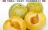 果之蔬 7.9折! - 美國加州空運恐龍蛋蜜李 1KG/2KG/4KG/箱