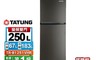 TATUNG大同 7.9折! - 250L一級變頻雙門冰箱 含拆箱定位 TR-B1251VHR