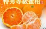築地一番鮮 7.5折! - 空運日本特秀蜜柑 1KG/盒
