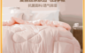 水星家紡 7.7折! - 愛麗絲抗菌七孔纖維春秋被二代 兩色任選