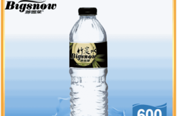 【薄雪萊】雪山活水竹炭水 600mlx24入