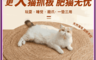 生活市集 10.0折! - 多功能天然蒲草貓抓墊