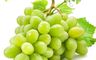果之蔬 10.0折! - 秘魯無籽綠地球葡萄500g/900g