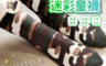 凱美棉業 7.2折! - MIT台灣製純棉透氣迷彩童襪 18-22cm