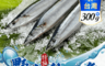 享吃海鮮 10.0折! - 野生特級秋刀魚300g (一包3隻)