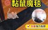 生活市集 10.0折! - 加大加厚防水革黏鼠魔毯
