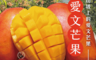 初品果 10.0折! - 產地直送台南愛文芒果10斤