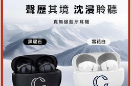 【AIWA 愛華】ENC環境降噪防水真無線藍牙耳機 AT-X80C