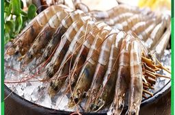 台灣牛蒡茶系列任選組合