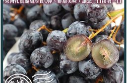 【果之蔬】智利無籽黑葡萄500g/900g 無籽葡萄 進口葡萄 智利葡萄