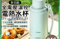 多功能全電壓溫控電熱水杯 電熱水壺 熱水壺