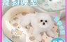 生活市集 10.0折! - 四季涼感乳膠U型枕寵物睡墊(可拆洗設計) 寵物床 床墊 乳膠床墊 涼感床 睡床