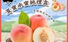 禾鴻 10.0折! - 台中新社夏蜜水蜜桃禮盒(3斤
