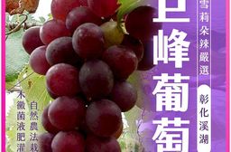 【雪莉朵辣嚴選】巨峰葡萄  5斤一盒