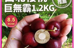 【築地一番鮮】空運8.5ROW華盛頓西北櫻桃1.2KG